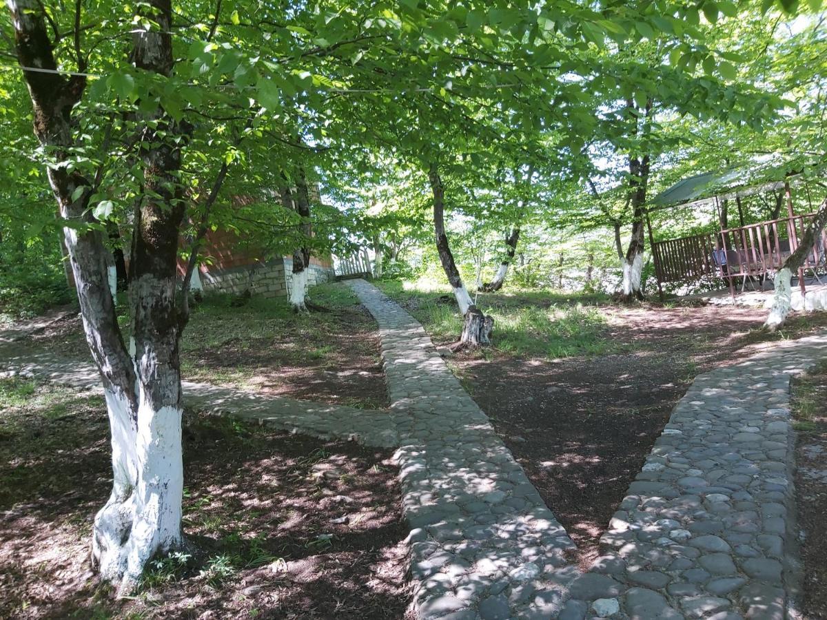 Quba Alfa-M Motel Bagian luar foto